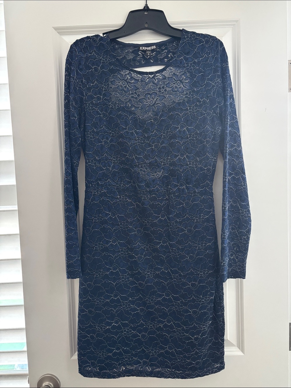 Express Navy Blue Lace Long-Sleeve Sheath Dress